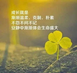 早安正能量句子短句,早安正能量句子勵志短句,早晨正能量的句子早安,正能量的短句