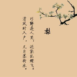 正能量有深度的句子名言,團(tuán)隊精神正能量的句子名言,激勵上進(jìn)正能量句子名言