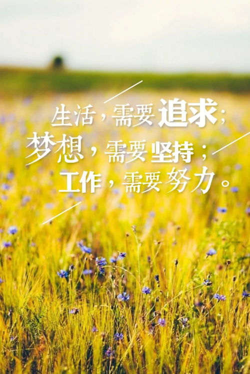 早安正能量句子早安正能量激勵人的句子,早安激勵正能量的句子,早安激勵人心的正能量句子