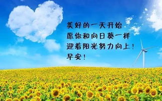 佳句,賞析,短語(yǔ),句子