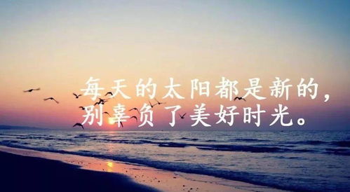 鼓勵人心正能量的詩(shī)句,鼓勵人心的正能量短語(yǔ),鼓勵人心正能量的句子的
