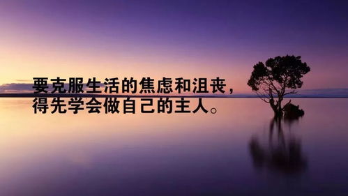 穆斯林正能量的句子經(jīng)典語句,雨天幽默正能量的句子,清晨勵志正能量的句子