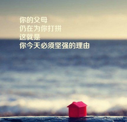句子,能量,精致