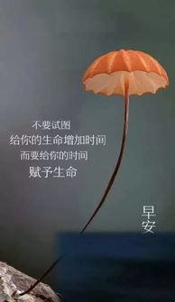 早安,句子,能量,夢想