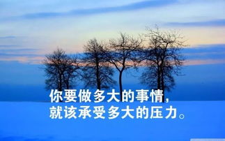 句子,能量,逛公園