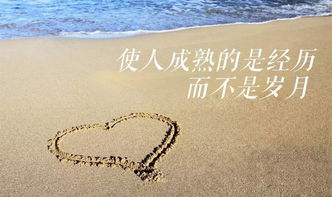 句子,能量