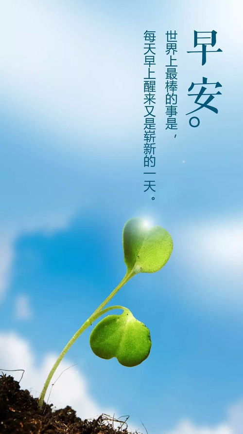 正能量的早安語(yǔ)句子配圖