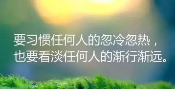 積極正能量的句子經(jīng)典語(yǔ)句,積極正能量的句子經(jīng)典語(yǔ)句50字以上,正能量的句子經(jīng)典語(yǔ)句