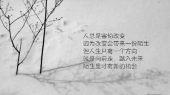 句子,能量,貢獻(xiàn)