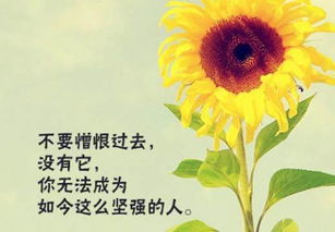 早安,句子,心語(yǔ),能量