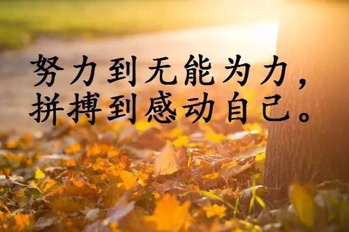 工作心態(tài)正能量句子100字,熱愛祖國正能量的句子100字,積極工作正能量的句子100字