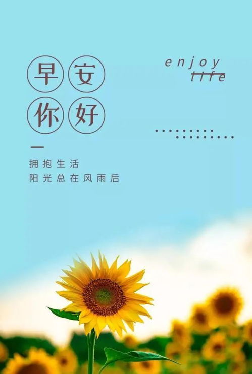 美好的一天正能量句子正能量的短句子,結束美好的一天正能量句子,美好的一天正能量句子