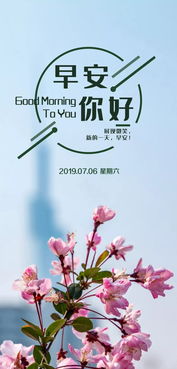 句子,能量,加油,工作