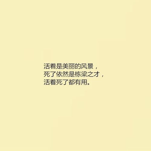 堅持勵志正能量的句子,勵志故事正能量句子,積極向上正能量的句子勵志的故事