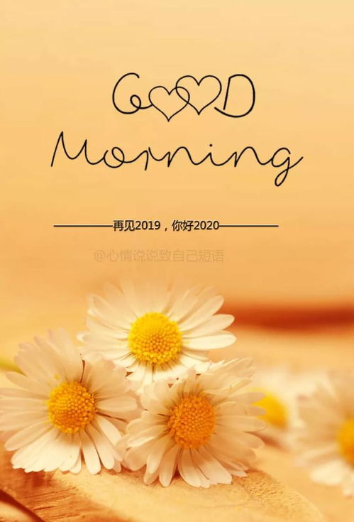 正能量簽名簡(jiǎn)短唯美句子,護(hù)士正能量的句子簡(jiǎn)短唯美,樂(lè)觀正能量的句子簡(jiǎn)短唯美