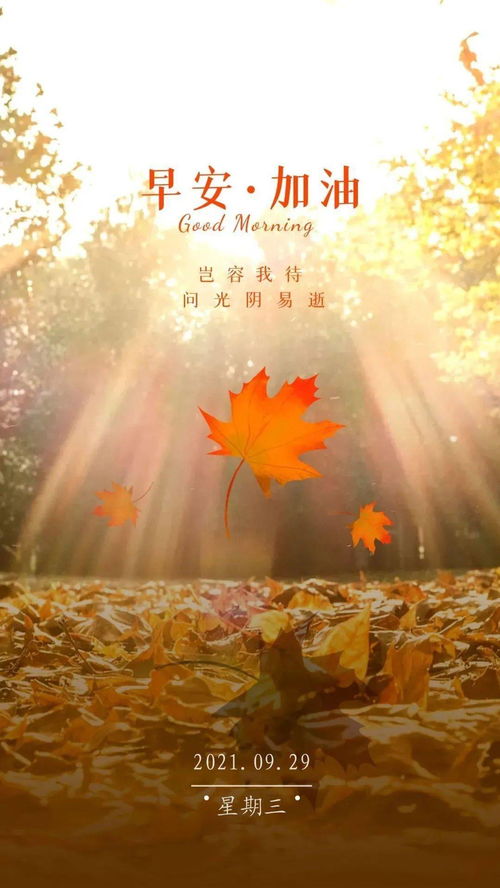 最新勵(lì)志早安正能量的句子,勵(lì)志的早安語正能量句子,早安勵(lì)志正能量滿滿的句子朋友圈