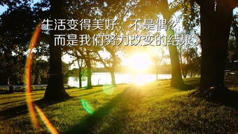 關(guān)于愛(ài)情勵志正能量的英文句子