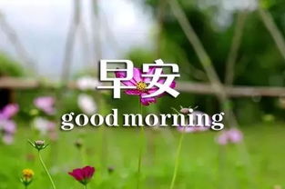 正能量句子勵志短句子早安心語(yǔ),正能量句子勵志短句子朋友圈早安,正能量句子勵志短句子早安