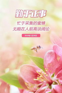 正能量說(shuō)說(shuō)句子早上好