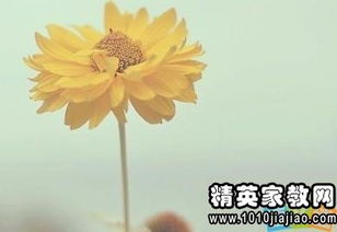 正能量的句子摘抄,愛(ài)國正能量句子摘抄,正能量長(cháng)句子摘抄