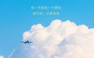 句子,能量,分享