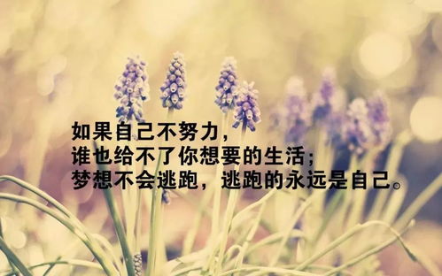 句子,能量,短短,情感