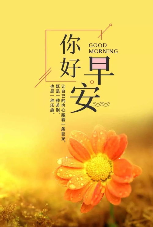 句子,語(yǔ)句,能量,經(jīng)典