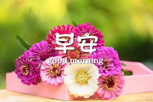 一個(gè)人正能量的句子說(shuō)說(shuō)心情短語(yǔ),等待失望的句子說(shuō)說(shuō)心情短語(yǔ),感謝正能量的句子說(shuō)說(shuō)心情短語(yǔ)