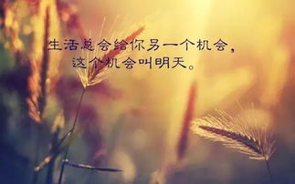 句子,能量,感悟,人生
