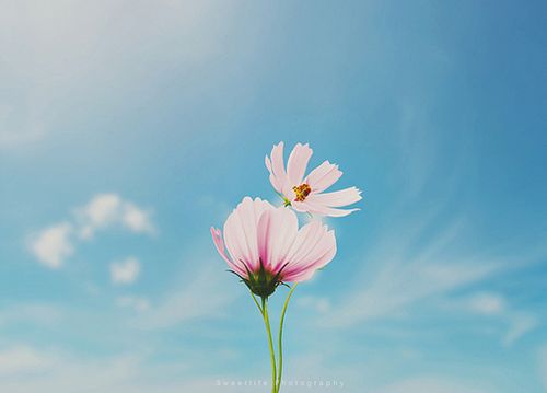 句子,勵志,能量,工作