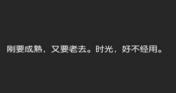 適合朋友圈說(shuō)說(shuō)正能量的句子