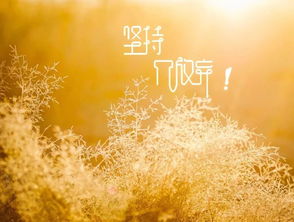 從滿(mǎn)正能量的短句子