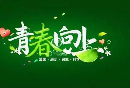 每天一句正能量滿滿的好句子