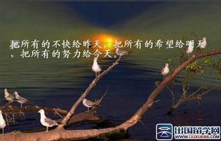傳遞愛(ài)心正能量的句子,傳遞正能量的句子簡(jiǎn)短,傳遞快樂(lè)正能量的句子