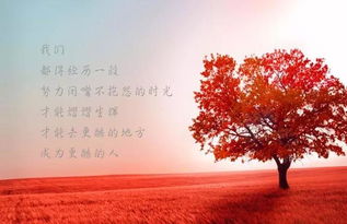 表達好心情的句子正能量
