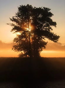 正能量的句子夕陽
