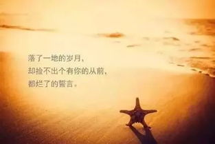 關(guān)于正能量的美句子