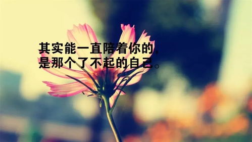 句子,心強,能量,大正