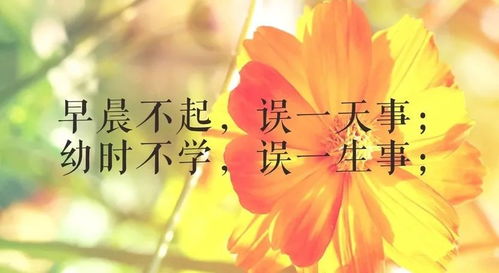 早安,句子,能量
