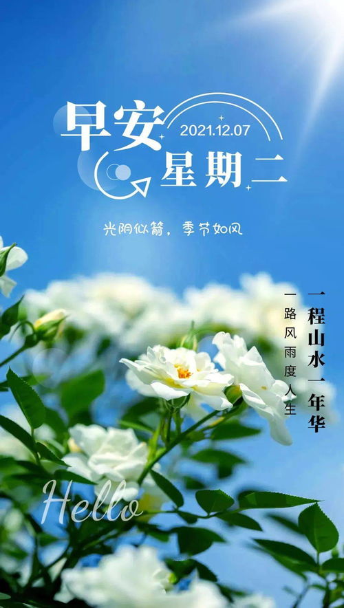 早上正能量的句子,星期二語(yǔ)錄正能量句子,早上滿(mǎn)滿(mǎn)的正能量句子