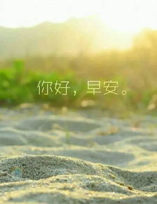 新的一天正能量句子早安勵志心語(yǔ)大全,新的一天新的開(kāi)始正能量句子早安,新的一天充滿(mǎn)陽(yáng)光正能量的句子
