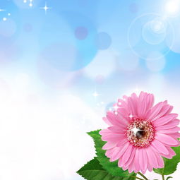 適合花開(kāi)的正能量句子