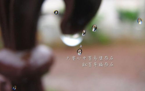 感恩的正能量句子經(jīng)典語(yǔ)錄