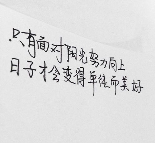 拼搏正能量勵志句子短語