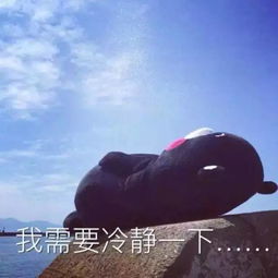 句子,勵志,能量,團隊