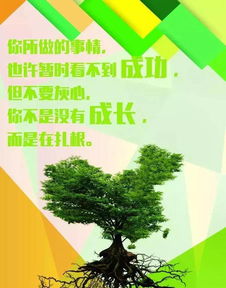 心向陽(yáng)光的正能量的句子和