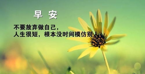 早安激勵正能量句子