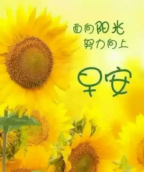 早安,句子,心語(yǔ),能量