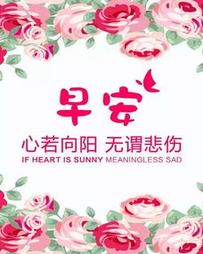 長(cháng)壽,句子,能量