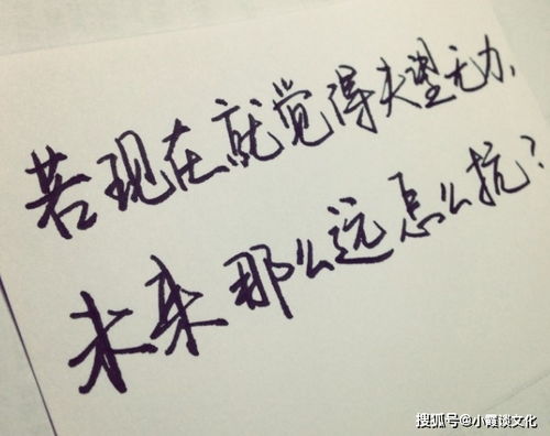 短語(yǔ),句子,勵(lì)志,能量